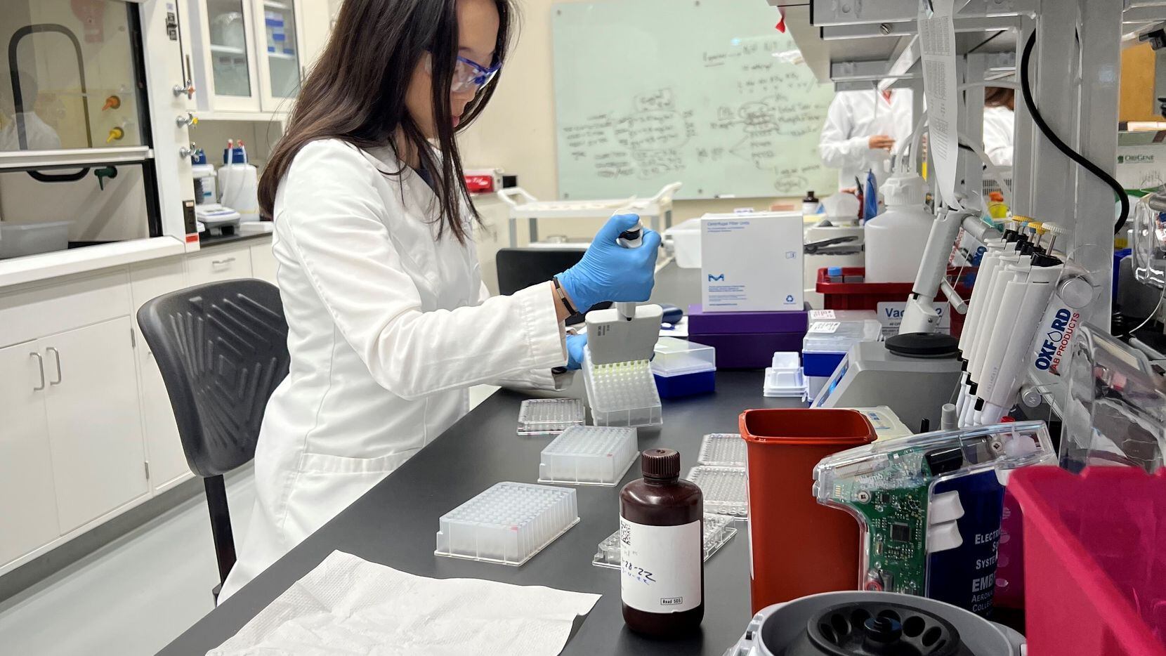 Vaxxinity Inc., cell biologist Madeline Vroom works in the company's lab in Merritt Island,...