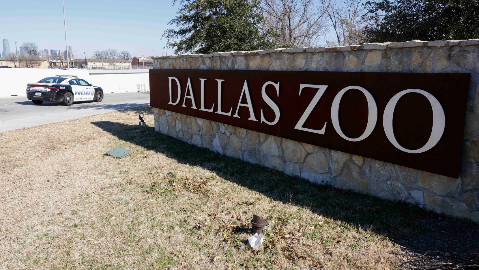 Una patrulla vigila las instalaciones del Zoológico de Dallas, el 13 de enero de 2023