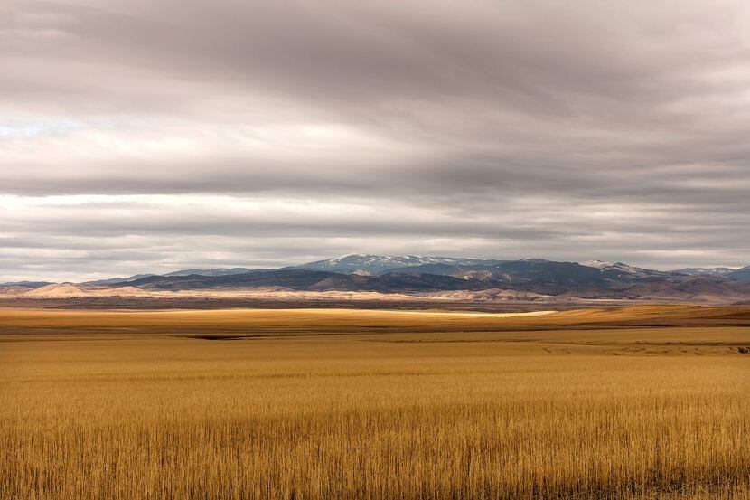 With photographs like "Amber Waves of Grain, Montana," Jeanine Michna-Bales set out to...