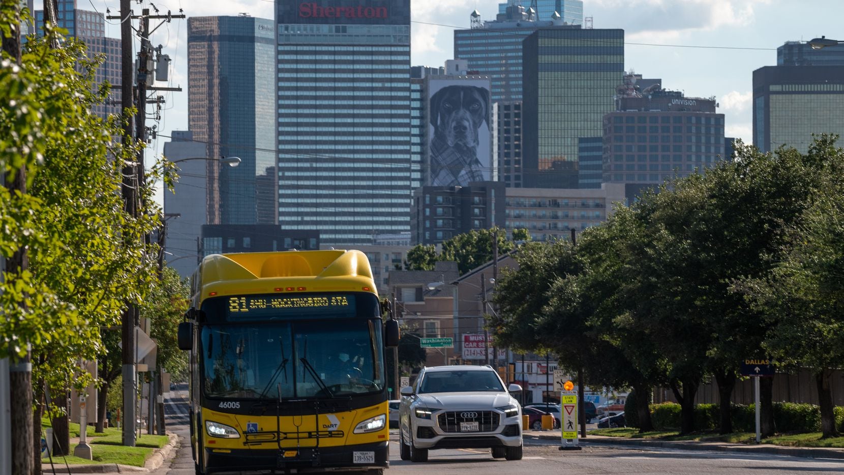 A DART bus moves along route 81 from downtown Dallas to Mockingbird Station Monday....