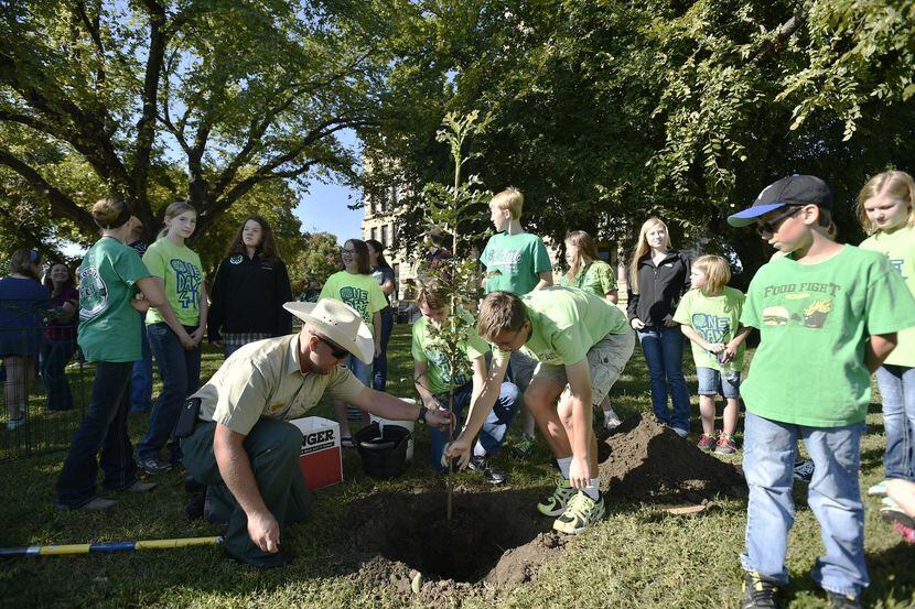 
Denton County 4H members plant a tree.
