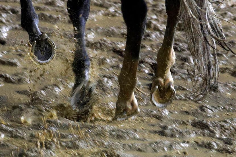 Un caballo entrena en la pista en Churchill Downs el viernes 3 de mayo de 2019 en...
