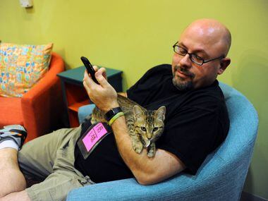 Rich Noah holds Hottie MacNaughty at the Charming Cat Corner.
