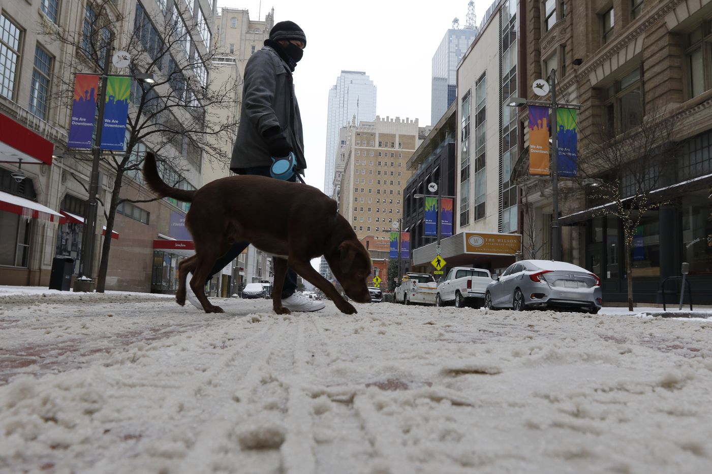 James Annon walks his dog, Jax, across the intersection of Main St and Ervay St on...
