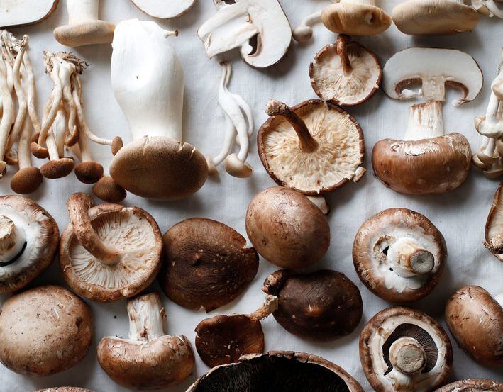How to Dehydrate Mushrooms - Fresh Off The Grid