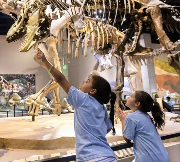 Girls look at dinosaur skeletons at the Perot Museum in Dallas.
