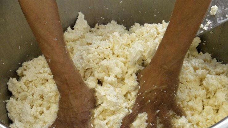 Hands On Cheesemaking Class
