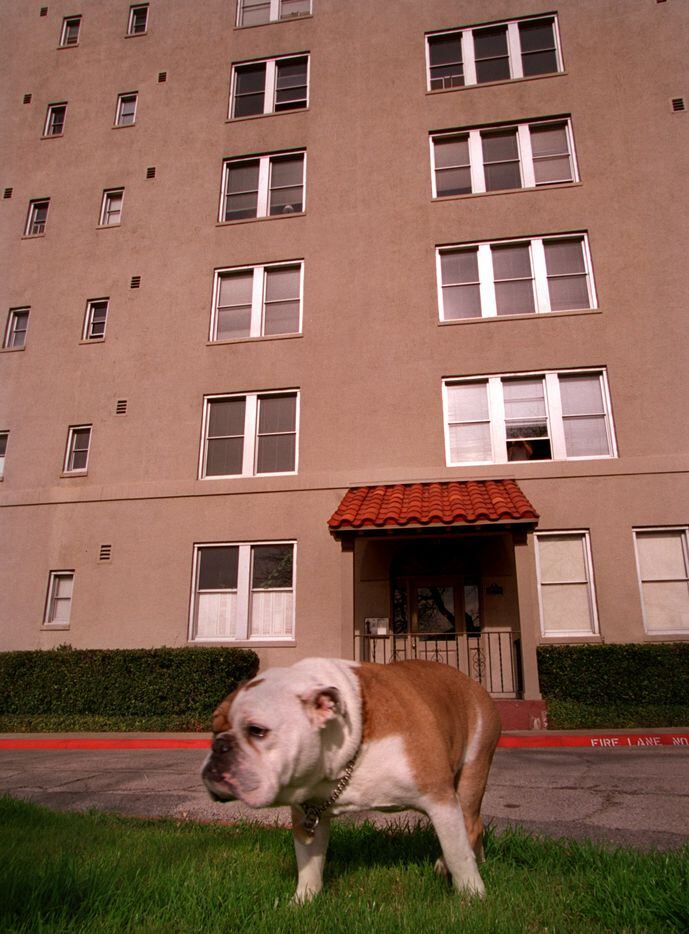 Reggie, a tenant at The Maple Terrace Apartments at the corner of Maple and Wolf Street, is...