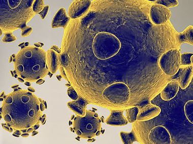 An illustration image obtained February 27, 2020 from the US Food and Drug Administration shows the coronavirus, COVID-19.