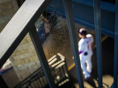 A spiderweb is seen on a railing as Round Rock Express catcher Yohel Pozo prepares to take...