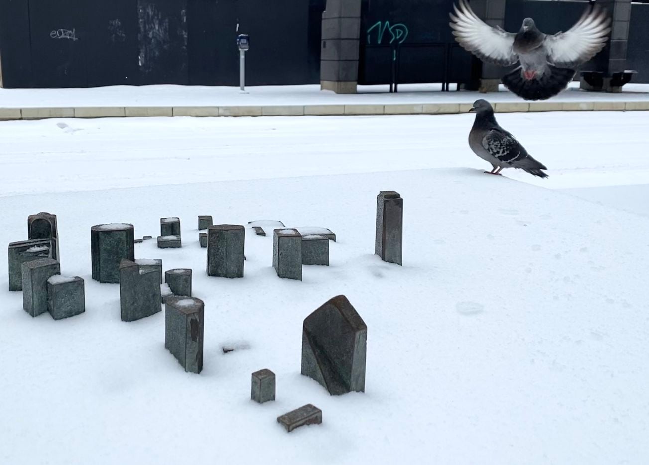 Two pigeons land, in the snow, on a miniature model of the City of Dallas at the intersection of Pacific Ave and Akard on Wednesday, February 17, 2021 in downtown Dallas.