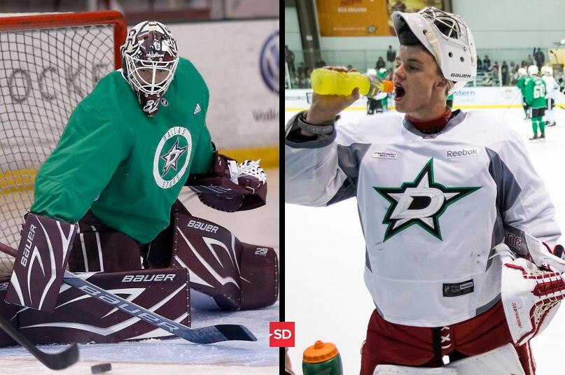 A deeper look into the Dallas Stars' potential goalies of the future