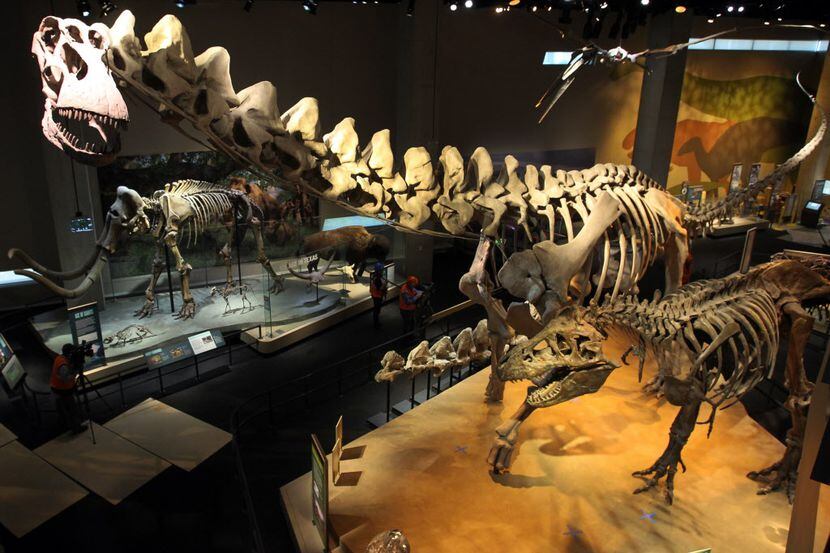 The main dinosaur exhibit in the T. Boone Pickens Life Then and Now Hall at the Perot Museum...