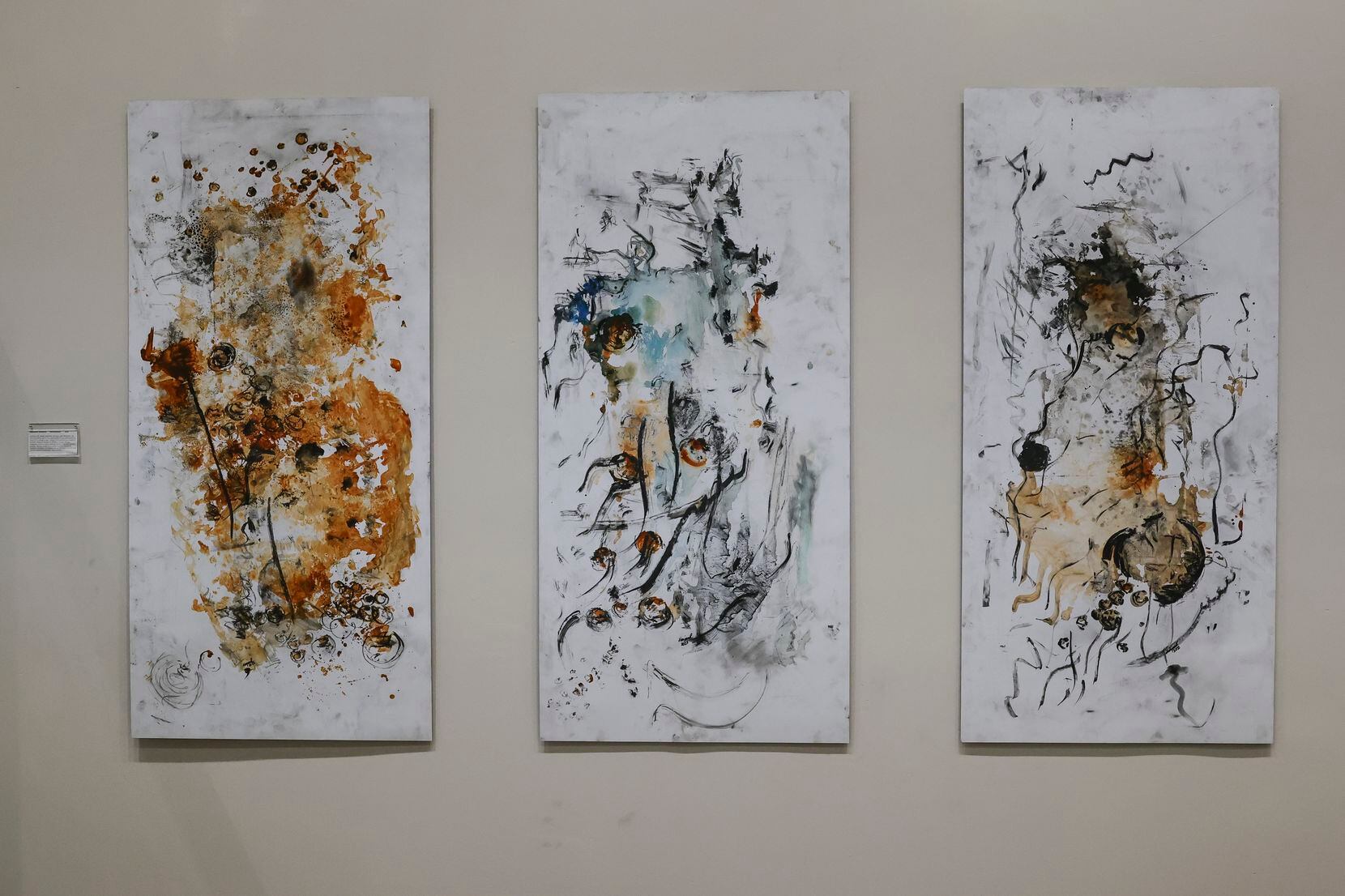 Marjaneh Goudarzi uses charcoal powder, ink and acrylic paint in “Persimmons,” a collection...