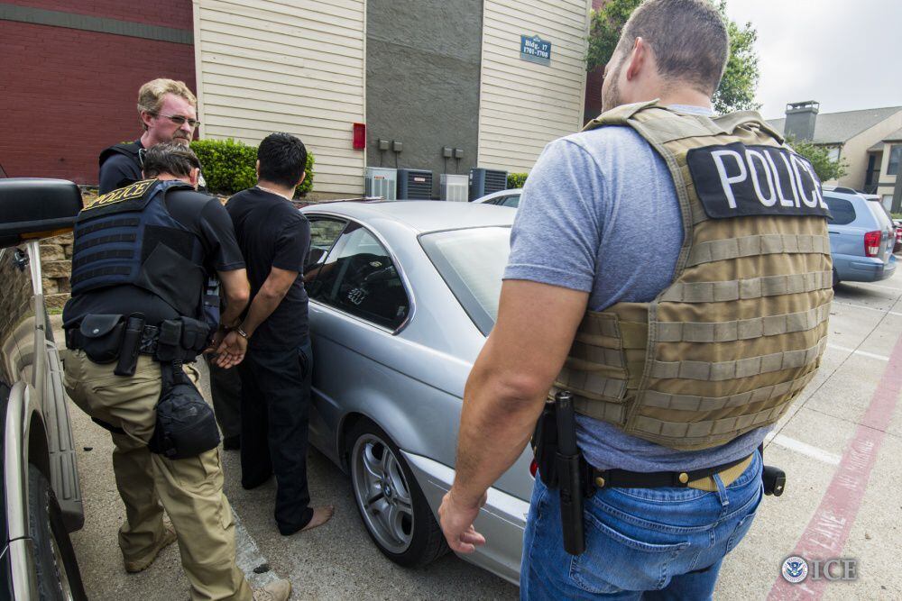 The ICE operation targeted "criminal aliens, illegal re-entrants and immigration fugitives,"...