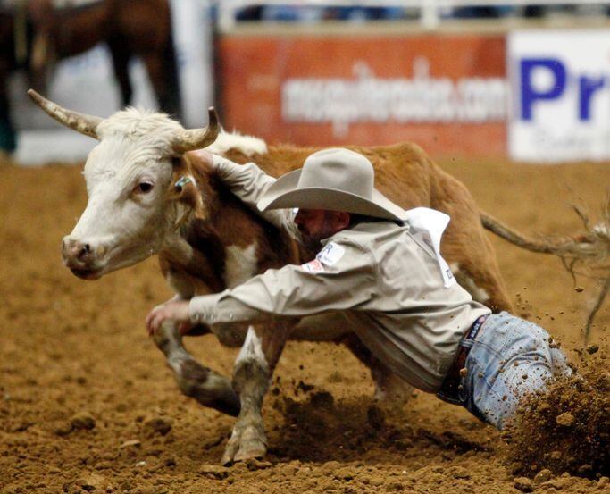 Rodeo steer wrestling event