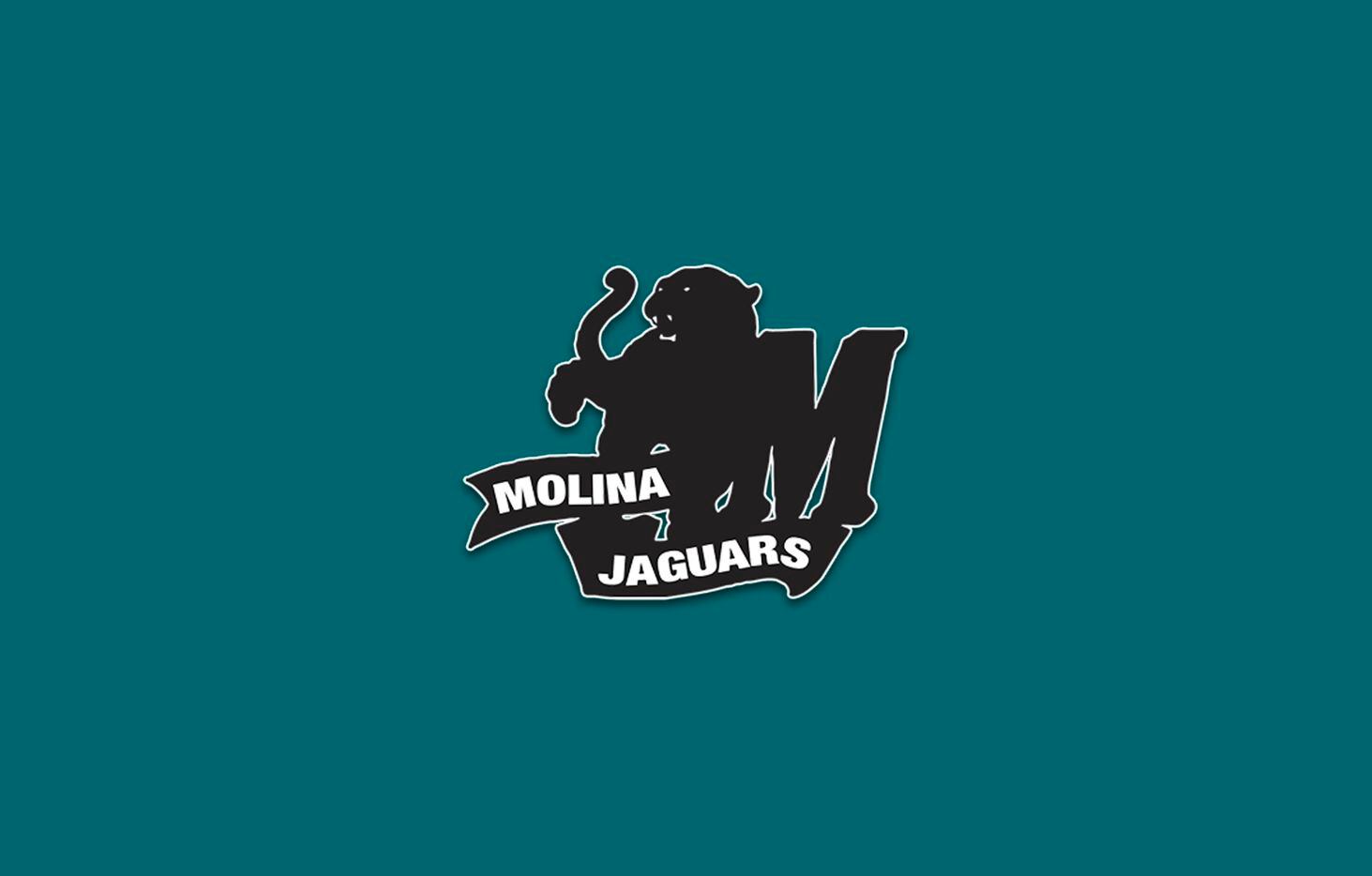 Molina logo.