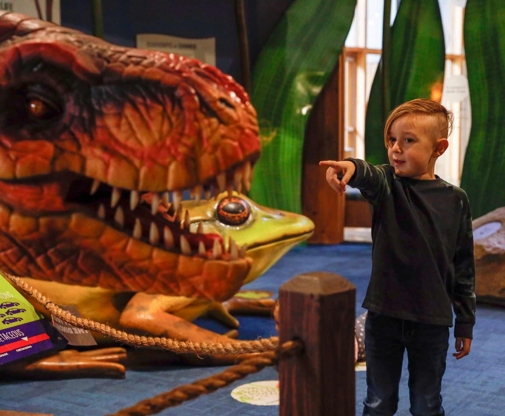 Connor DeRocha discovers a Tyrannosaurus rex at Arlington's River Legacy Living Science...