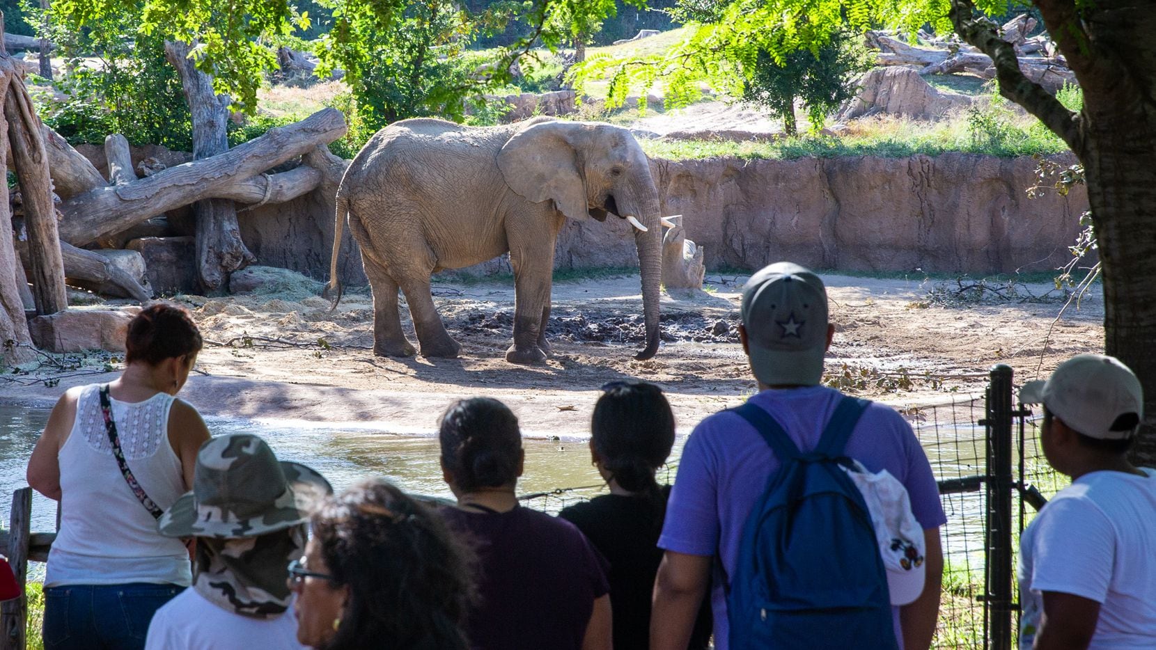 visits zoo