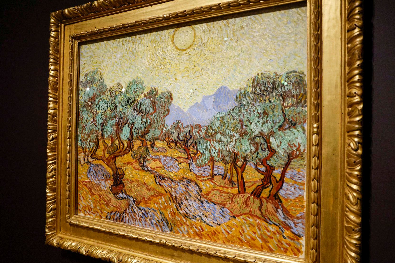 Van Gogh also shows a rarer sunny scene in "Olive Trees" from November 1889, on loan from...