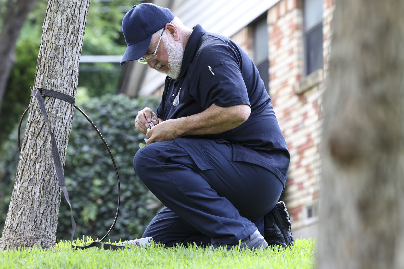 A city of Dallas Animal Services officer removed a camera from a tree two doors away from...