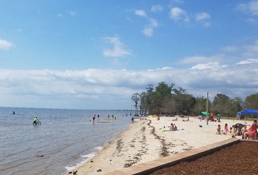Fontainebleau State Park in Mandeville, half an hour from Covington, La., is a great spot to...