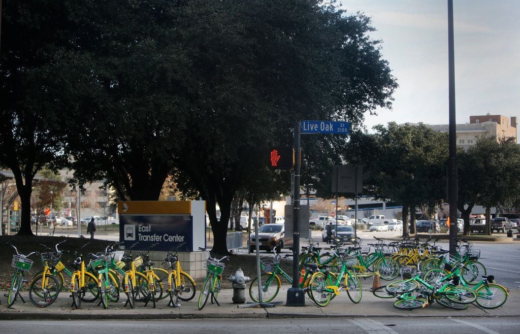 Thirty rental bikes are propped and piled on the corner of Live Oak and Olive Streets in...