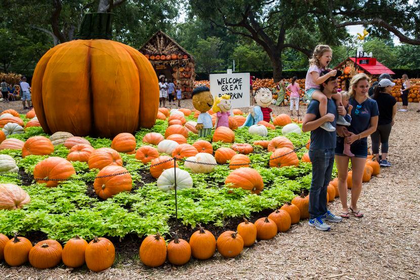 Visitors enjoy the pumpkin village at the Dallas Arboretum's Autumn at the Arboretum.