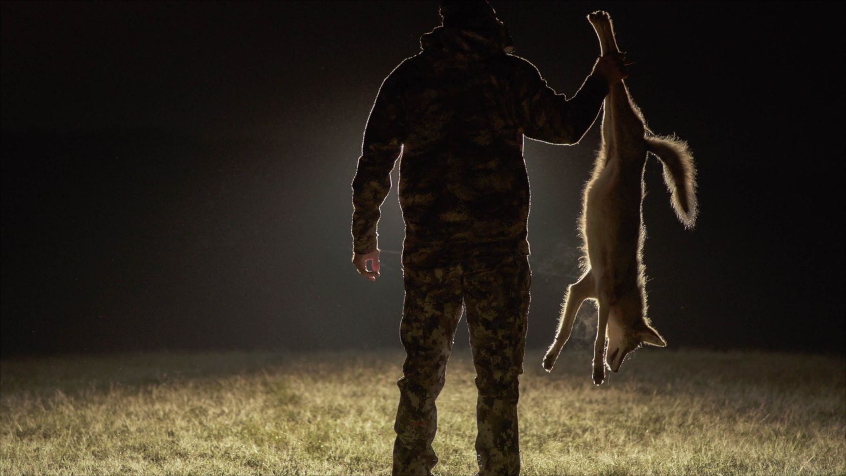 One of the main allures of predator hunting is calling coyotes, foxes, bobcats and other inherently wary critters into shooting range, often under the cover of darkness.