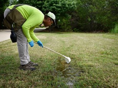 Erin Plaisance, assistant director of operations with Municipal Mosquito, uses a cup to...