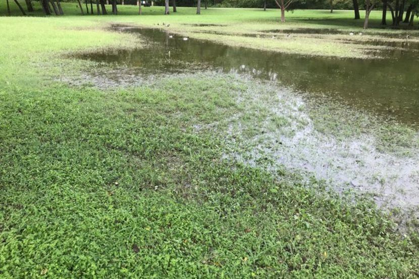 Rainout Procedures