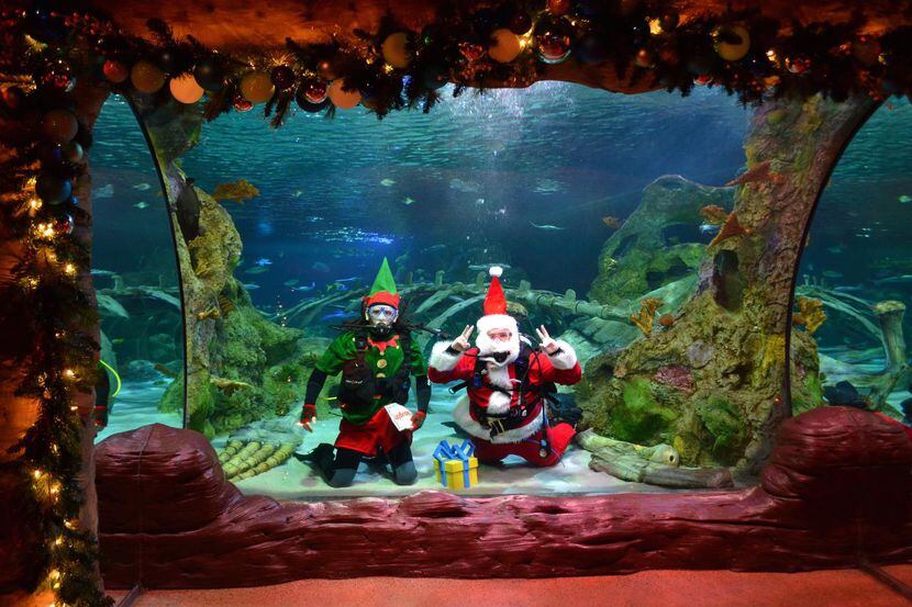 Santa se sumerge a las profundidades en el Life Grapevine Aquarium.(ARCHIVO DMN)
