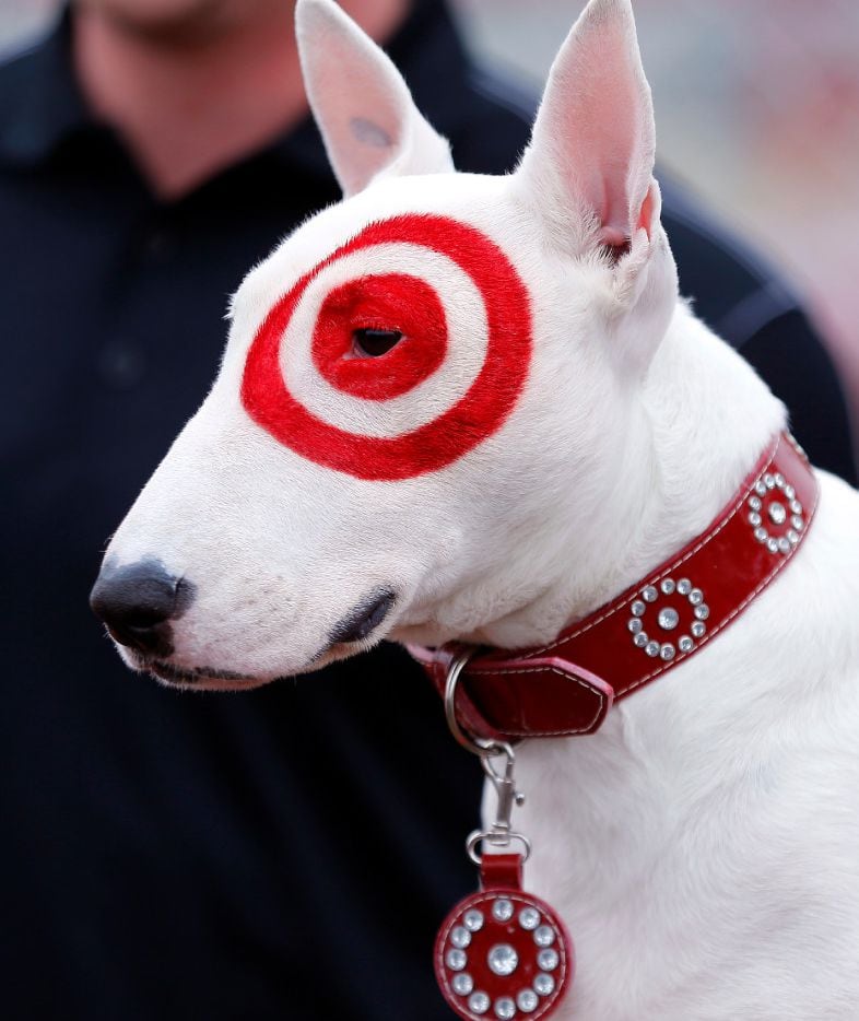 photos-canine-celebrity-bullseye-the-target-dog-helped-open-texas-motor-speedway-s-new-puppy-park