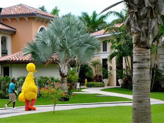 
At Beaches Resort in Turks and Caicos, your kids might be treated to a visit with Big Bird...