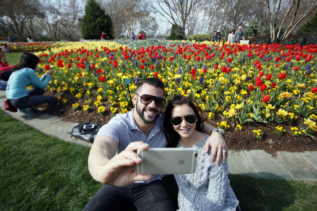 Eric Andrews and Shannon Andrews, of Lewisville, smile for a photo with a bed of tulips at...