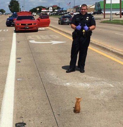 Arlington police Officer Austin Kidd and the kitten he helped save.