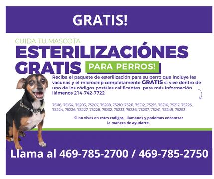 SPCA mantiene abierto el programa de esterilización gratuita de mascotas.