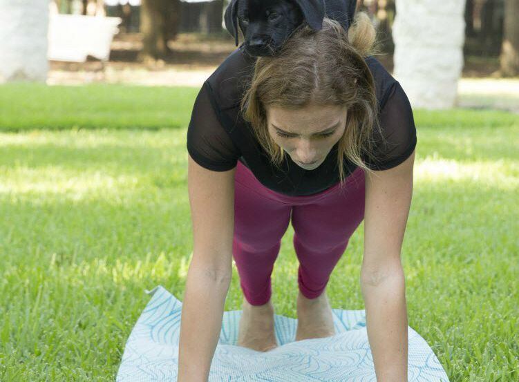 Puppy yoga is hosted by Friends of the Northaven Trail.