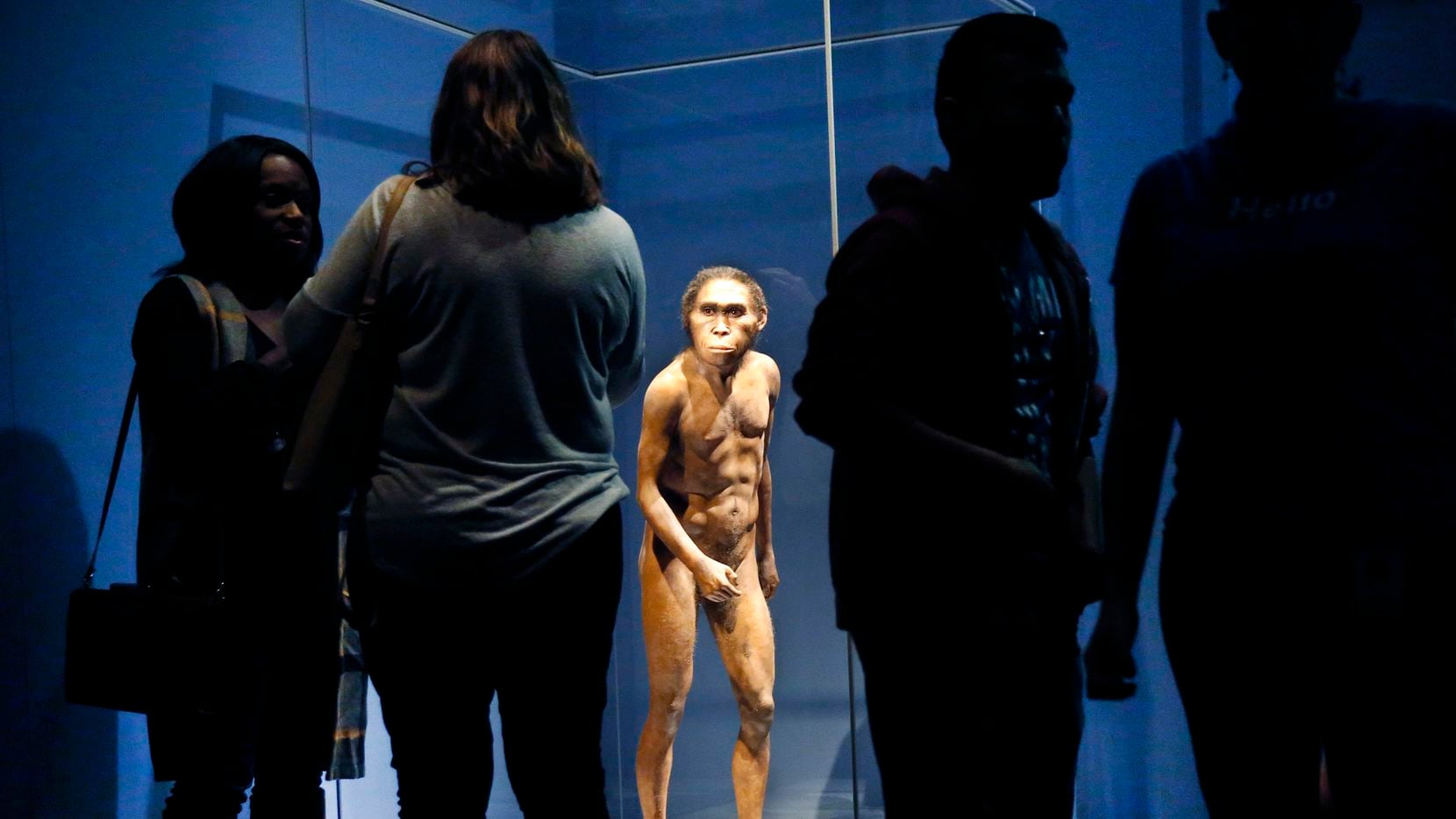 A full-figure model based on the Homo naledi skeleton named Neo, a 300,000-year-old adult male, stands behind glass during a media preview of the Origins exhibition at the Perot Museum of Nature and Science in Dallas on Thursday, Oct. 17, 2019.