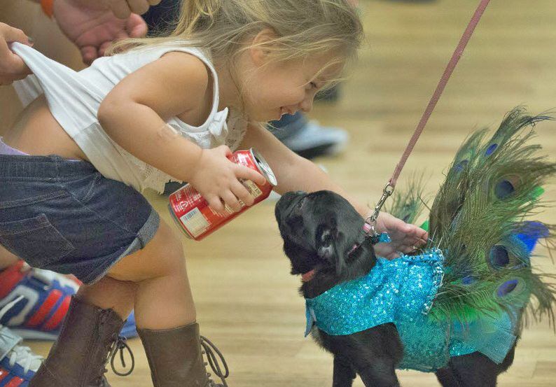 Pug-O-Ween hosted by DFW Pug Rescue 