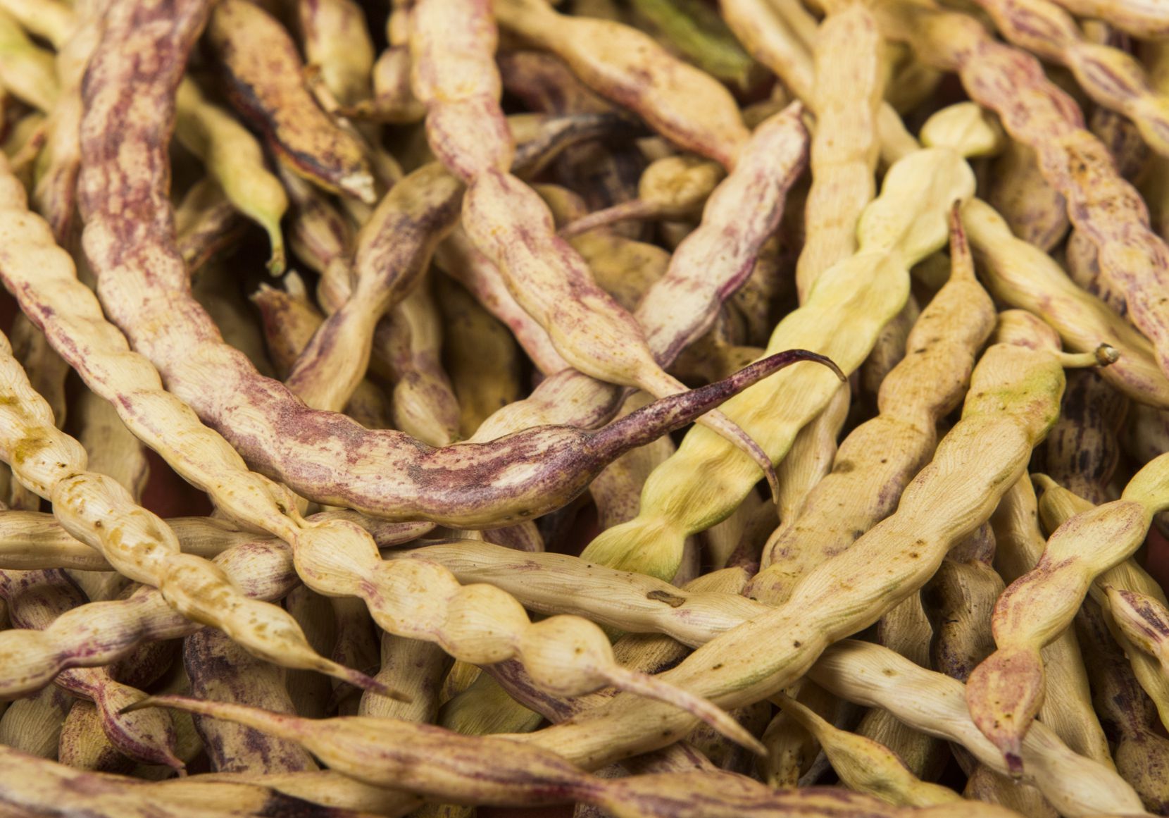 Are mesquite beans the next gluten-free superfood?