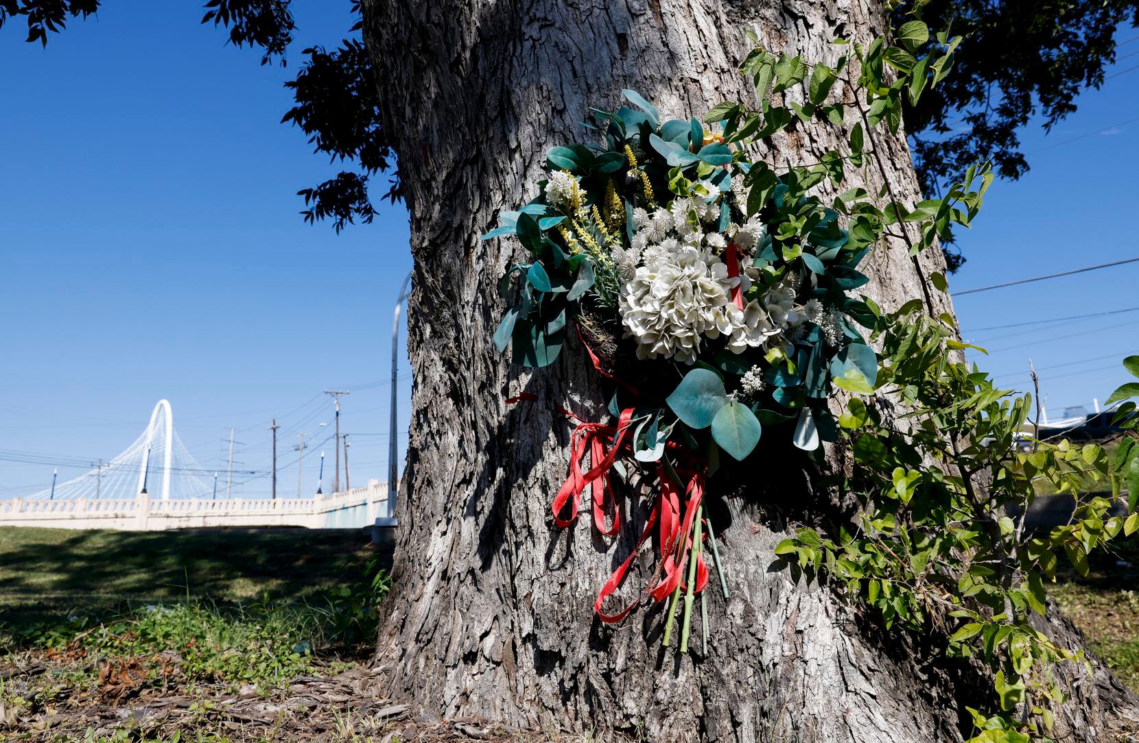 Wreaths and religious icons are regularly placed at the foot of the tree to commemorate...