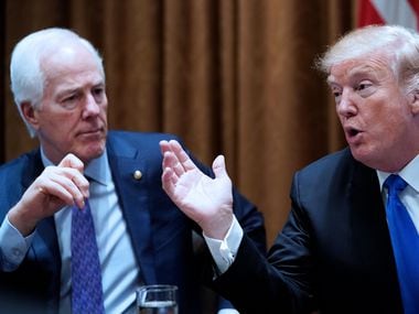 President Donald Trump, left, and Texas Sen. John Cornyn, shown during a 2018 event in Washington, D.C., glided to comfortable victories in Texas Tuesday, showing the state -- for now -- remains red.