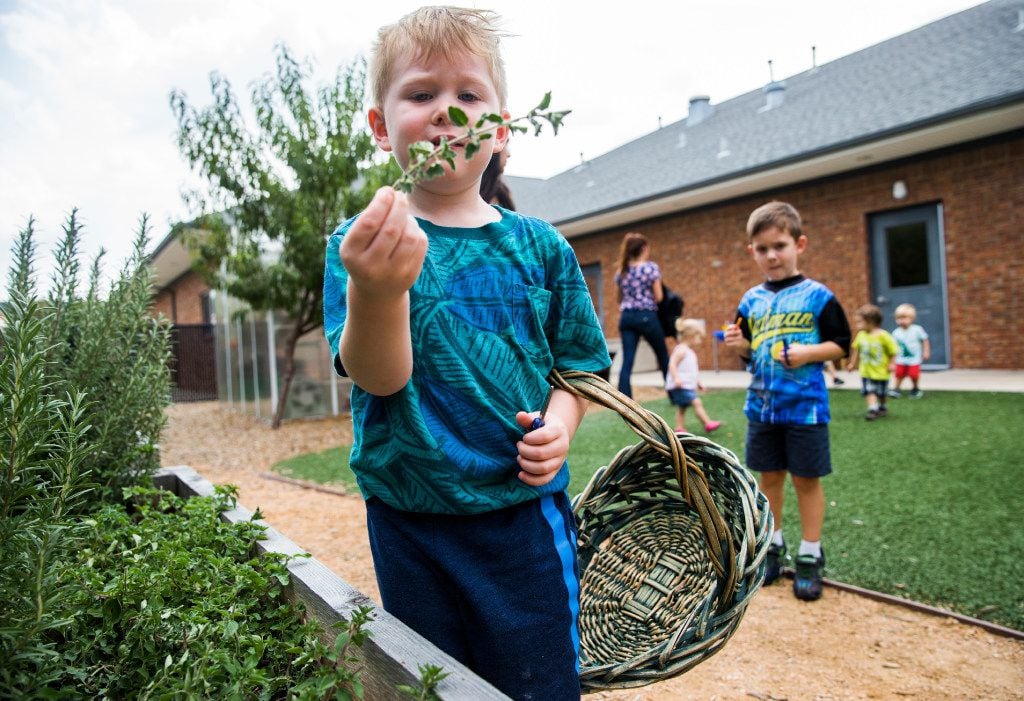 Jacob Martin, 3, holds a clipping from a plant as preschool students touch, smell and...