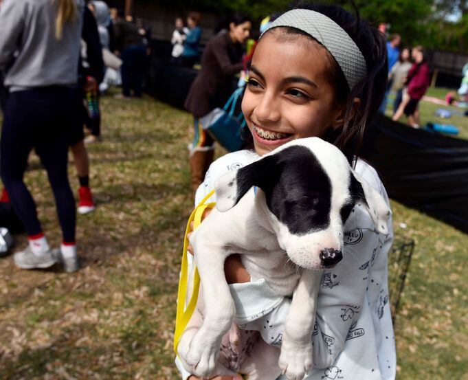 A girl holds her newly adopted puppy.