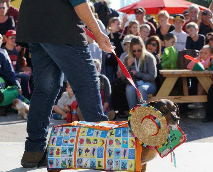 Southlake Oktoberfest offers fun for the entire family, including a dog show and weiner dog...