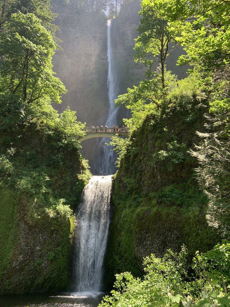 Multnomah Falls offers gasp-worthy views along the Columbia River Gorge in Oregon. 