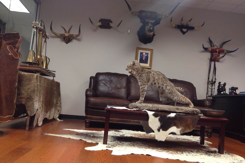  A look at one wall inside the lobby of the Texas Department of Agriculture. (Tom...