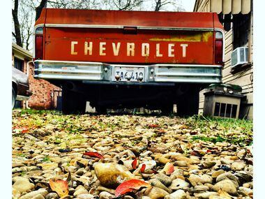 A Chevy pickup shows its age, one of many shots Guy Reynolds captured on his weekly route...
