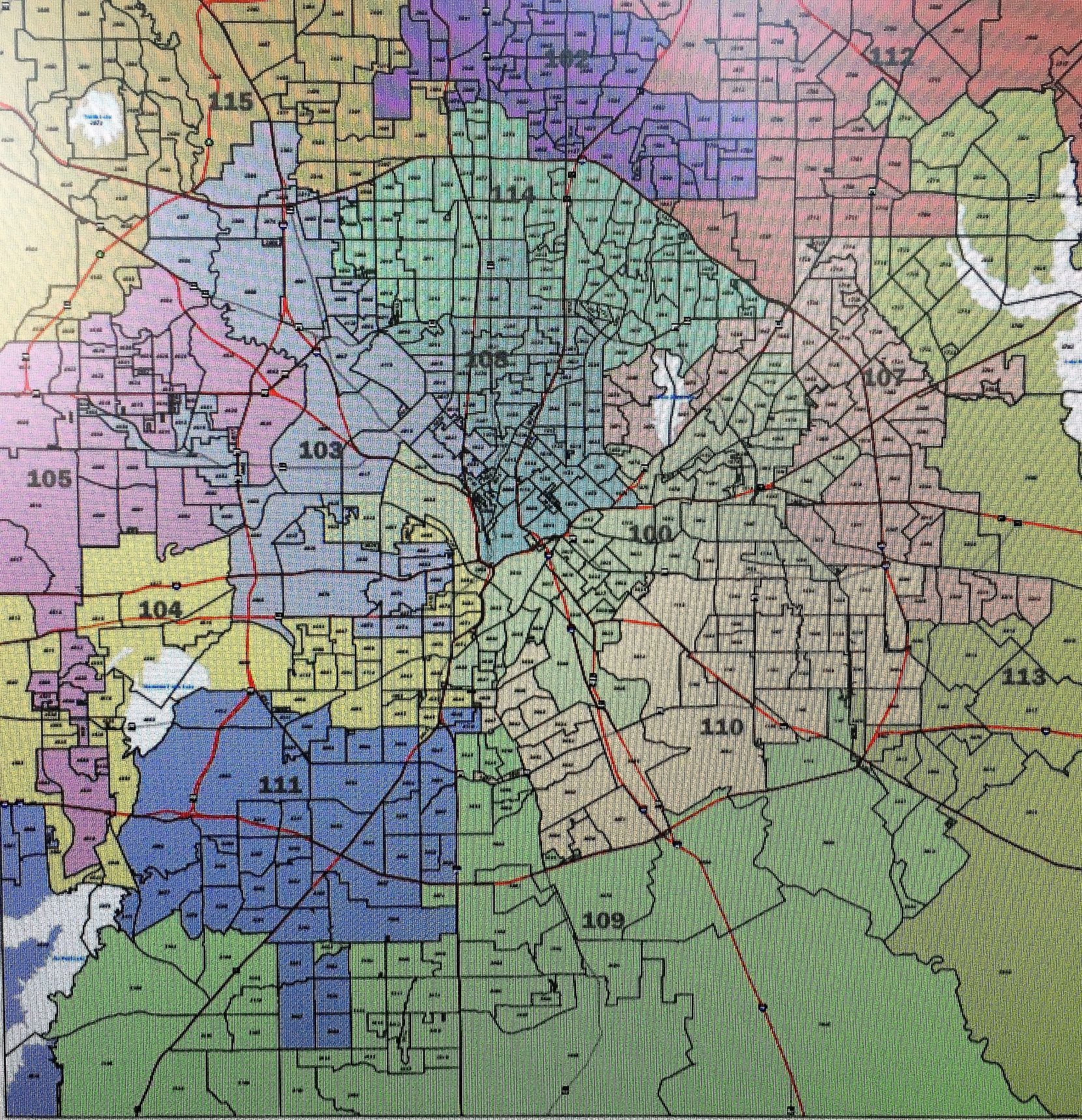 Dallas County House Districts map.